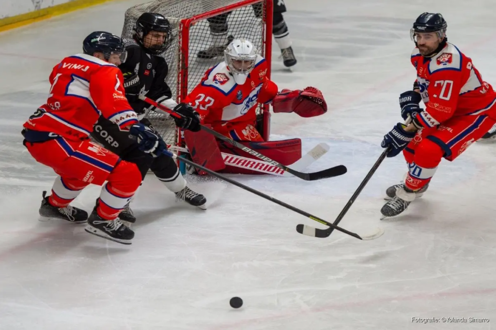 Tigers verweren zich kranig tegen koploper Nijmegen Devils
